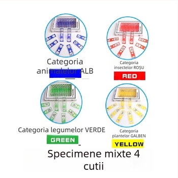 Slide-uri din plastic pentru microscop cu probe mixte de animale și plante pentru copii – insecte și plante