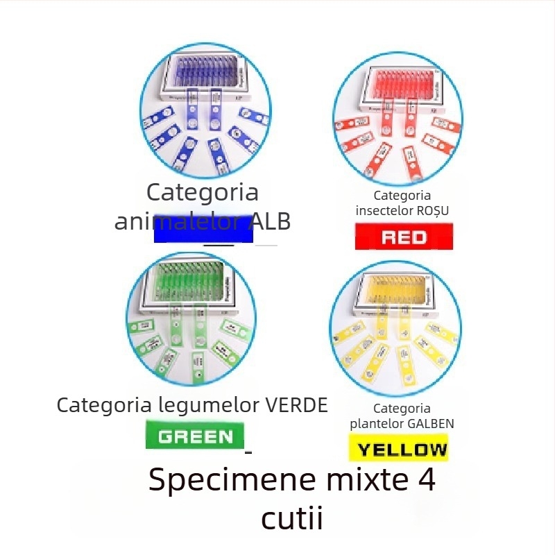 Slide-uri din plastic pentru microscop cu probe mixte de animale și plante pentru copii – insecte și plante