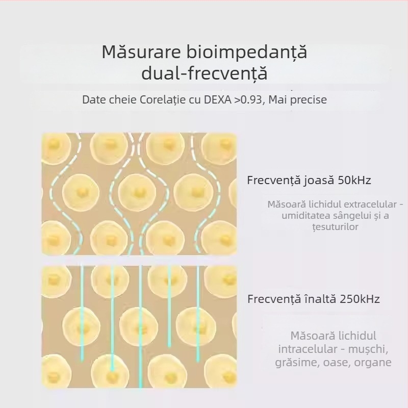 Cântar pentru grăsime corporală S400Pro – inteligent, precis, pentru uz casnic, pentru pierderea în greutate, femei