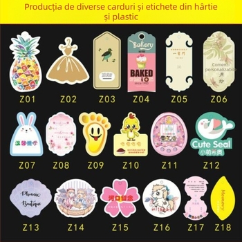 Etichetă pentru haine din PVC cu siglă – card plastic mat și etichetă din hârtie