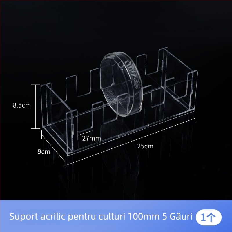 Raft din Plexiglas pentru Petri, set de 5/10 bucăți, vertical, pentru vase Petri cu diametrul 60/90/100/120/150 mm.