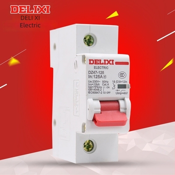 Delixi DZ47-125 serie întrerupător de circuit pentru uz casnic 1P 80A 125A 220V