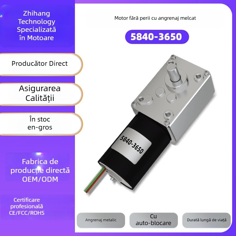 Motor DC brushless cu angrenaj melcat, 12V/24V, reglaj viteză, auto-blocare, înaltă putere