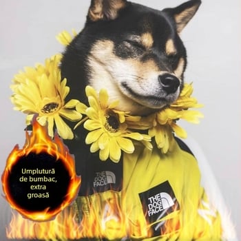 PAWDREAM haină de ploaie pentru câini cu drapel american, impermeabilă, rezistentă la vânt și ploi, căptușită, pentru câini mari