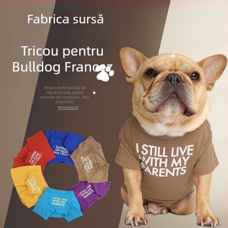 Îmbrăcăminte pentru animale de companie la comandă: paltoane impermeabile pentru câini și pisici, costume festive amuzante