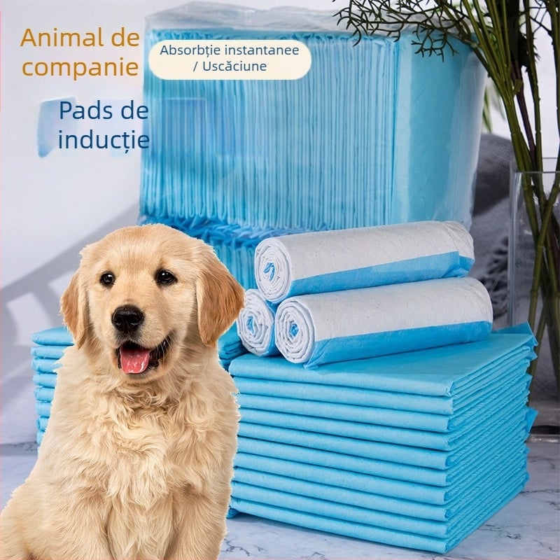 Tampoane de antrenament pentru animale de companie: câini și pisici, tampoane de urină mai groase și scutece cu deodorant