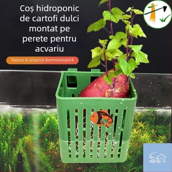 Coș hidroponic de plantare, montat pe perete, pentru acvariu, cu cupă pentru plante plutitoare, decor acvatic