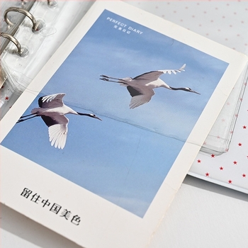 Album foto Polaroid de 3 inch cu pagini detașabile, capacitate mare pentru carduri, stocare fotografii și fotografii de identitate