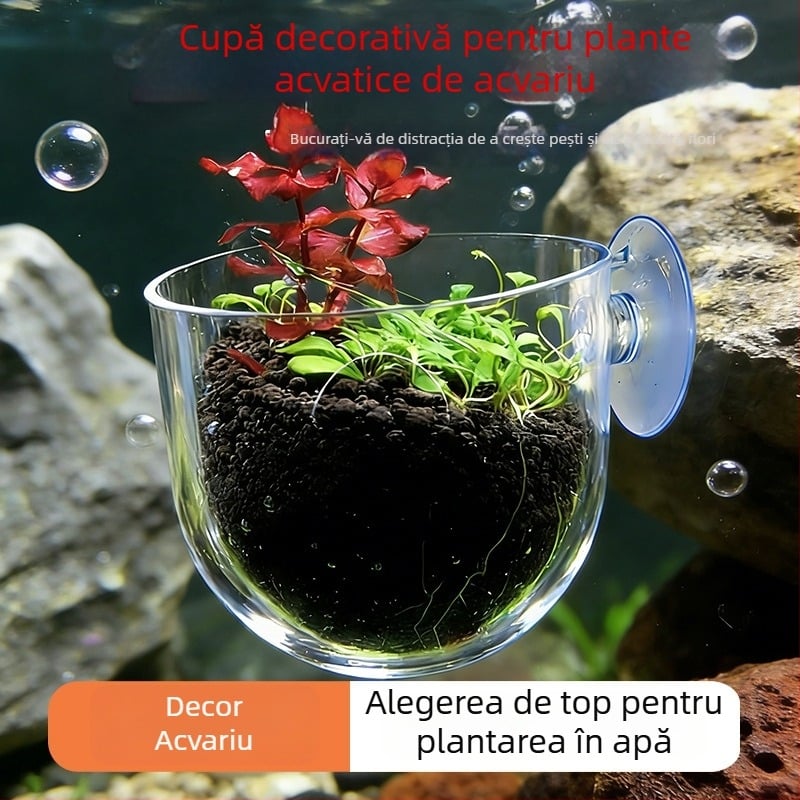 Cupa pentru aquascaping pentru acvariu de birou