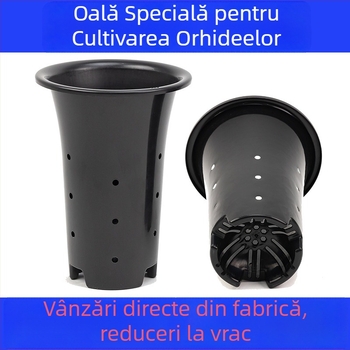 Ghiveci din plastic pentru orhidee, mare și înalt, pereți întăriți