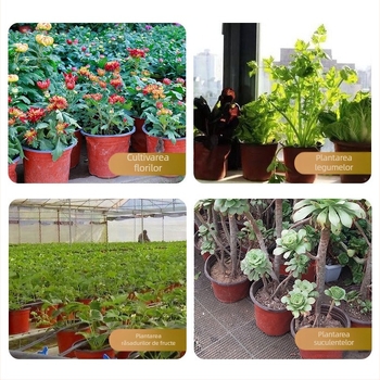 Ghiveci plastic pentru răsaduri, bicolor, cu pereți groși, diametru mare și bază