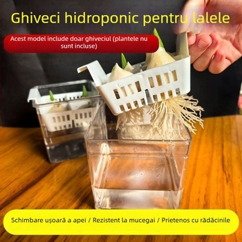 Ghivece hidroponice cu compartimente pentru lalele și crini, transparente și vizibile, cu un recipient de plantare albastru, aerate, pentru uz casnic