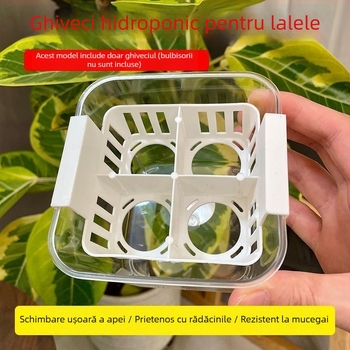 Ghivece hidroponice cu compartimente pentru lalele și crini, transparente și vizibile, cu un recipient de plantare albastru, aerate, pentru uz casnic