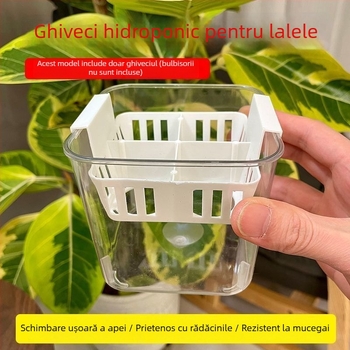 Ghivece hidroponice cu compartimente pentru lalele și crini, transparente și vizibile, cu un recipient de plantare albastru, aerate, pentru uz casnic