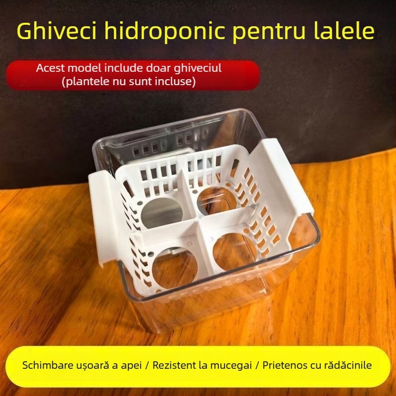 Ghivece hidroponice cu compartimente pentru lalele și crini, transparente și vizibile, cu un recipient de plantare albastru, aerate, pentru uz casnic