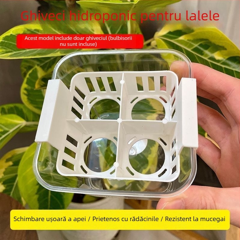 Ghivece hidroponice cu compartimente pentru lalele și crini, transparente și vizibile, cu un recipient de plantare albastru, aerate, pentru uz casnic