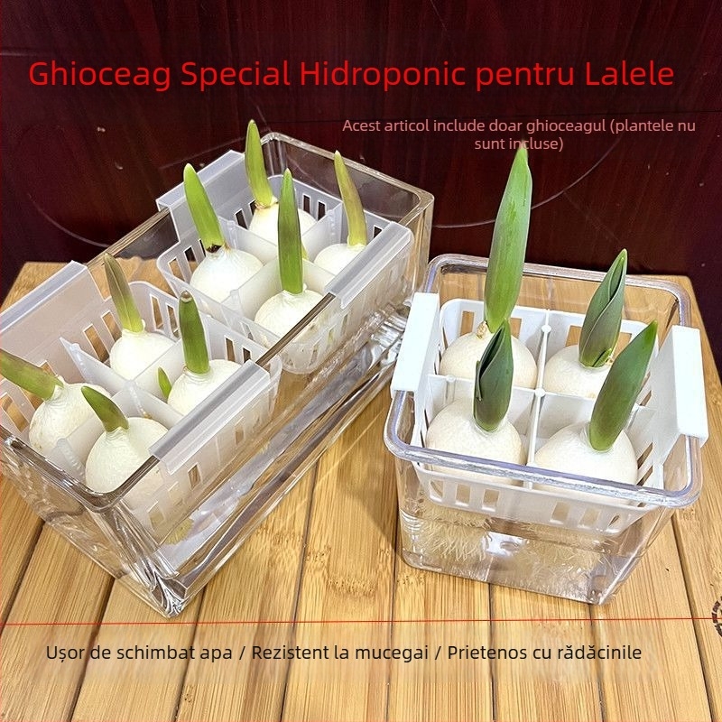 Ghiveci hidroponic pentru lalele, vază transparentă din rășină, coș de plantare din plastic, bulbi de lalele pentru cultură în apă