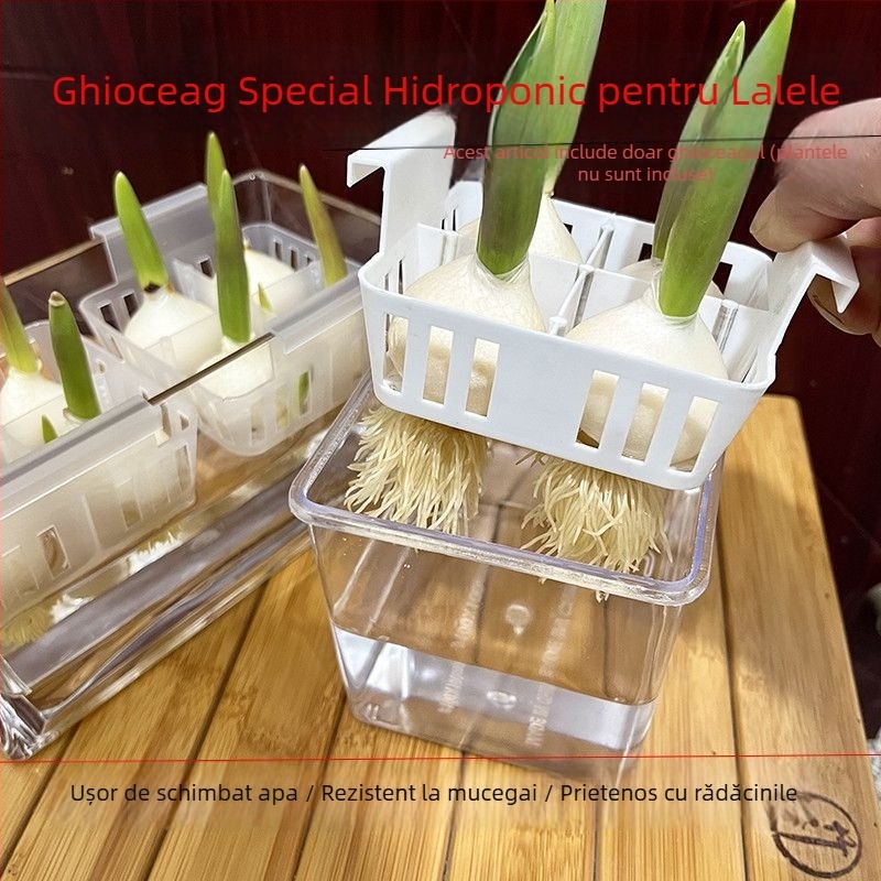 Ghiveci hidroponic pentru lalele, vază transparentă din rășină, coș de plantare din plastic, bulbi de lalele pentru cultură în apă