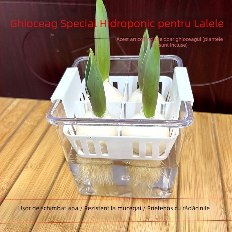 Ghiveci hidroponic pentru lalele, vază transparentă din rășină, coș de plantare din plastic, bulbi de lalele pentru cultură în apă