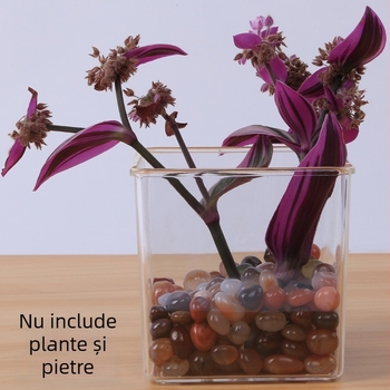 Ghiveci transparent pătrat din plastic pentru plante, potrivit pentru pervaz și balcon