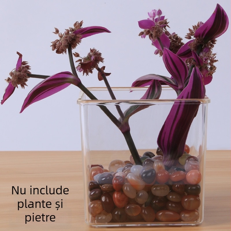Ghiveci transparent pătrat din plastic pentru plante, potrivit pentru pervaz și balcon