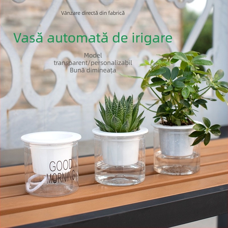 Ghiveci transparent hidroponic auto-udare pentru pothos și spider plant, stil nordic minimalist, plante verzi și suculente