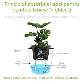 Ghiveci mare din rășină pentru hidroponie, cu absorbție automată a apei – pothos, design minimalist
