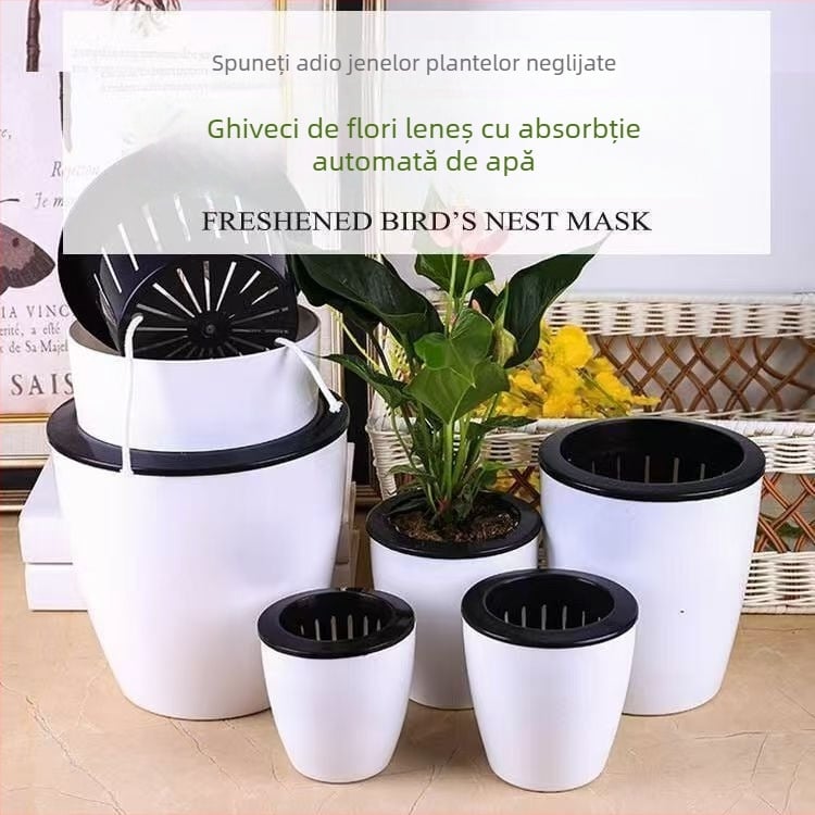 Ghiveci mare din rășină pentru hidroponie, cu absorbție automată a apei – pothos, design minimalist