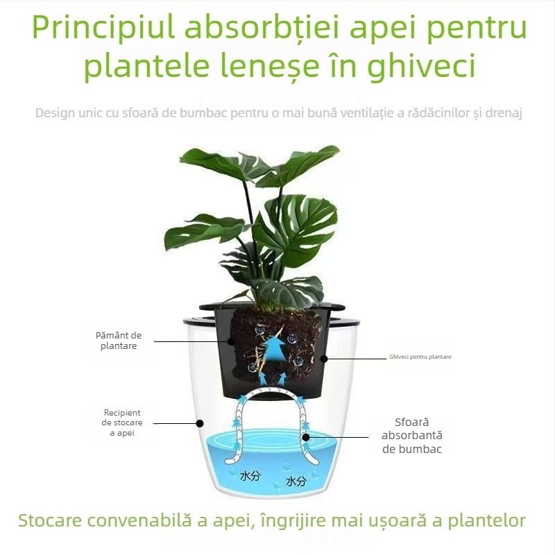 Ghiveci mare din rășină pentru hidroponie, cu absorbție automată a apei – pothos, design minimalist
