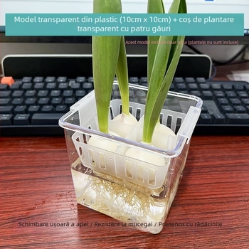 Vas de sticlă transparent pentru lalele hidroponice, coș de plantare din plastic