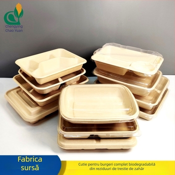 Cutie biodegradabilă pentru salată, de unică folosință, cu mai multe compartimente și capac PET transparent, cutie pătrată pentru takeout