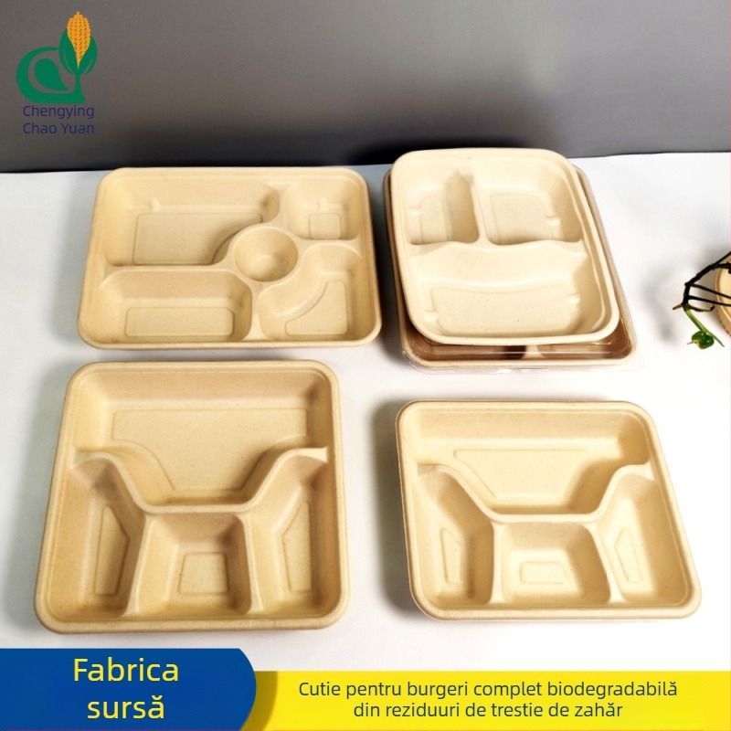 Cutie biodegradabilă pentru salată, de unică folosință, cu mai multe compartimente și capac PET transparent, cutie pătrată pentru takeout