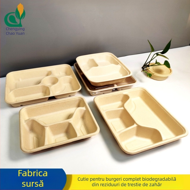 Cutie biodegradabilă pentru salată, de unică folosință, cu mai multe compartimente și capac PET transparent, cutie pătrată pentru takeout