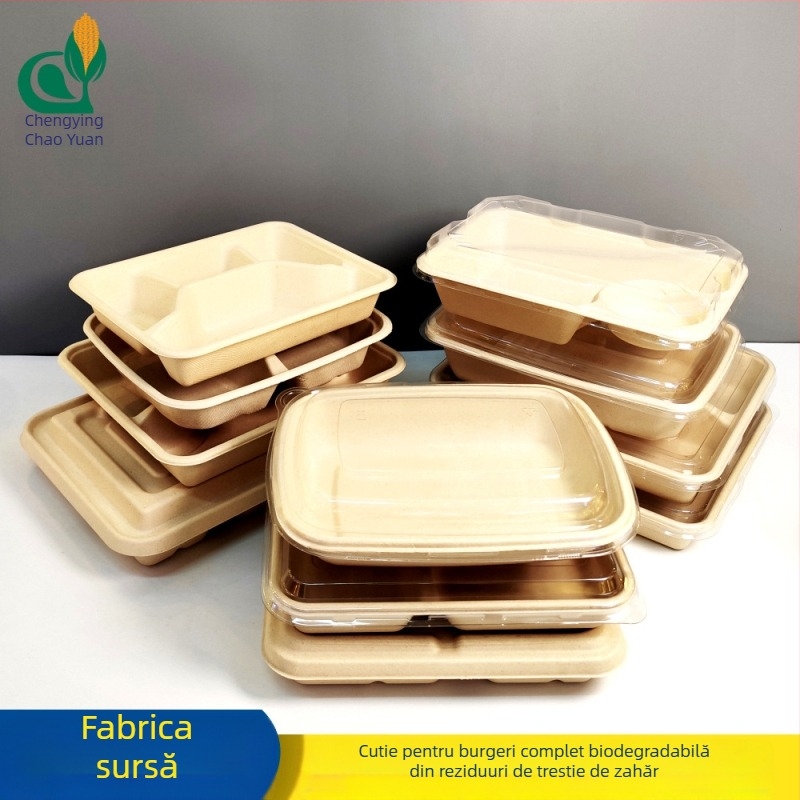 Cutie biodegradabilă pentru salată, de unică folosință, cu mai multe compartimente și capac PET transparent, cutie pătrată pentru takeout