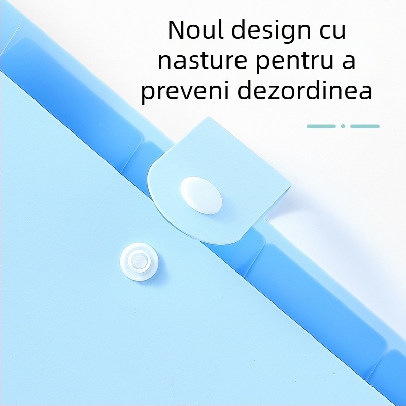 Organizator dosar A4 cu buzunare acordeon, 7 compartimente pentru documente, spațiu generos de depozitare