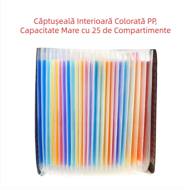 Fișier acordeon cu buzunare 13/25, căptușeală interioară color, exterior negru, dimensiuni 33x25 cm