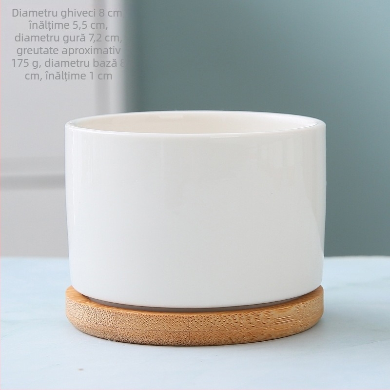 Ghiveci ceramic alb, minimalist, pentru suculente — ideal pentru birou, casă sau balcon, decorativ, bonsai mic