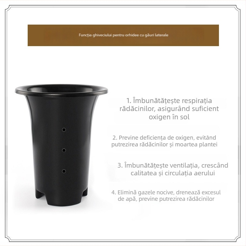 Ghiveci transparent pentru orhidee, înalt, mare, respirabil, negru, fără găuri laterale