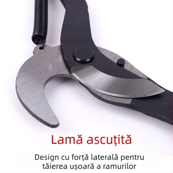 Aoye Tăietor Telescopic pentru Ramuri, pentru Recoltarea Fructelor, Fierăstrău pentru Ramuri Înălțate și Foarfă de Grădină