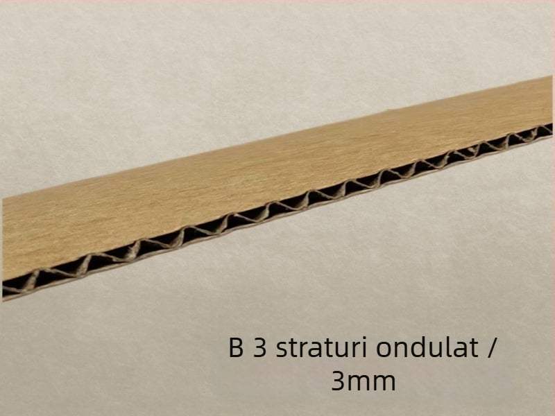 Ambalaj din carton kraft cu trei straturi, panou rigid îngroșat, inserții de umplere și separator, carton ondulat, personalizabil