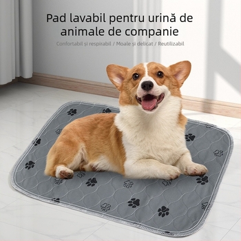 Covoraș lavabil pentru urină, pluș gros absorbant, pentru câini și pisici