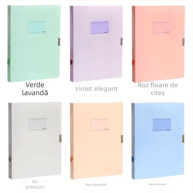 Casetă Morandi pentru arhivare, dosare A4 colorate pentru documente și chitanțe contabile, legare din plastic