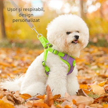 Ham vestă pentru pisici și câini de talie mică, cu lesă