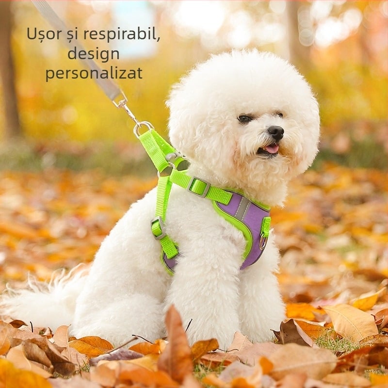Ham vestă pentru pisici și câini de talie mică, cu lesă