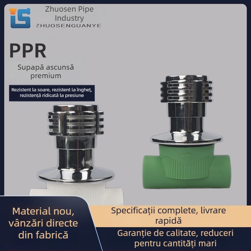 Supapă PPR ascunsă 1/2 inch, set 20 supape, cu nucleu din cupru pentru instalații rezidențiale