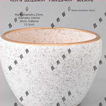 Ghiveci ceramic mare, stil minimalist nordic, potrivit pentru balcon, orhidee și suculente, pentru interior.