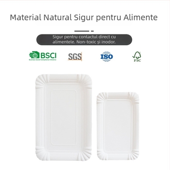 Farfurie de hârtie dreptunghiulară, de unică folosință, de calitate alimentară, biodegradabilă, dimensiuni 10x16 cm sau 13x20 cm, 230-300 GSM, potrivită pentru picnicuri și uz casnic
