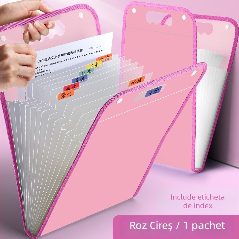 Organizator portabil pentru fișe de teste, compartimente multiple pe discipline, capacitate mare, pentru elevi din învățământ primar