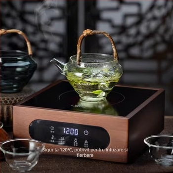 Ceainic de înaltă calitate, cu mâner, separator termorezistent pentru ceai și infuzor pentru ceai verde, din sticlă borosilikat groasă, stil japonez