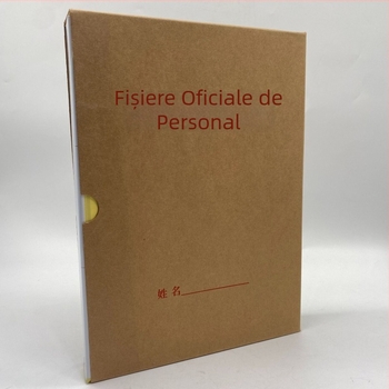 Cutie A4 pentru dosarele personalului – fără găuri, depozitare documente, construcție dintr-o singură piesă